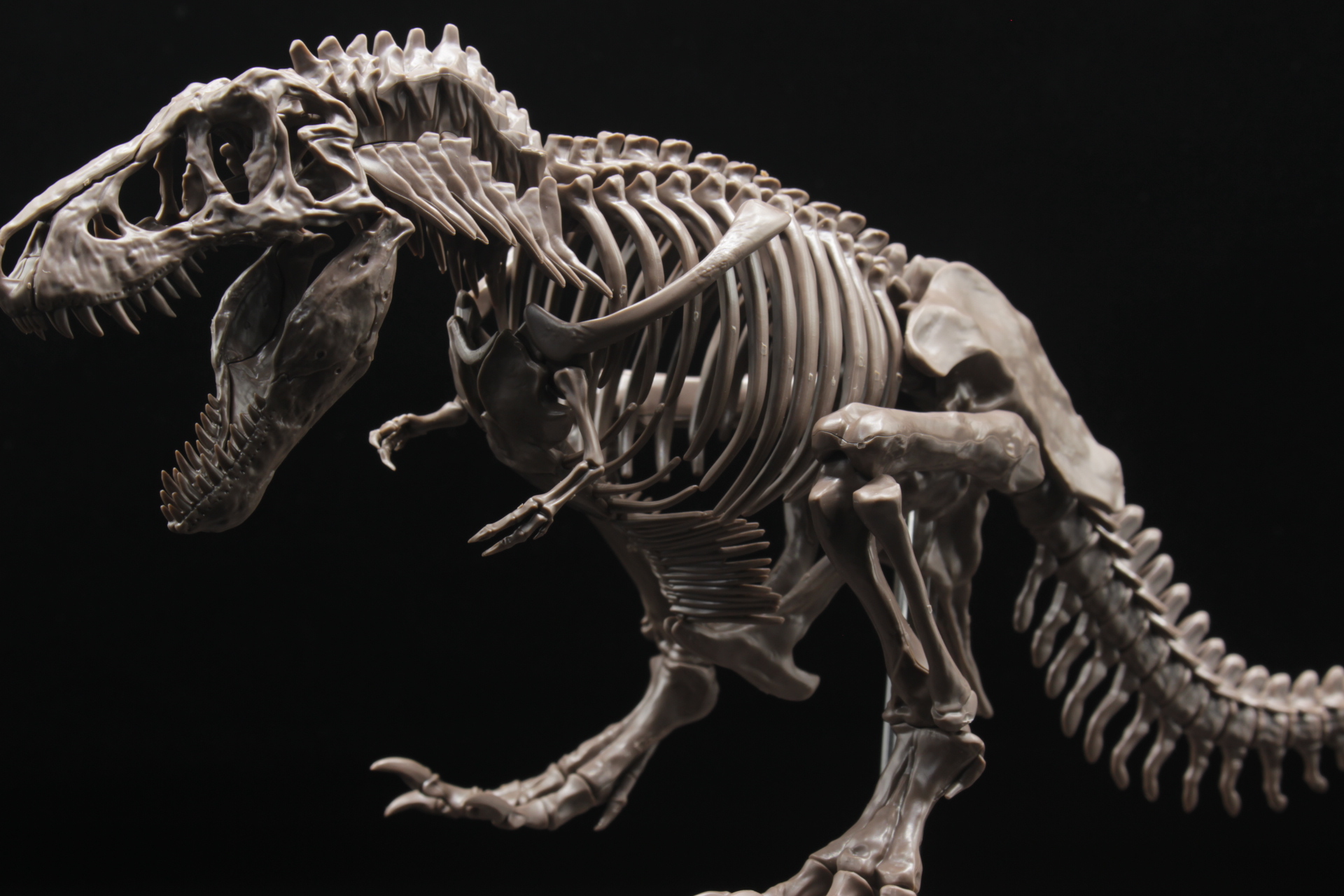 1/32 Imaginary Skeleton ティラノサウルス サンプル素組│くらくらプラモブログ
