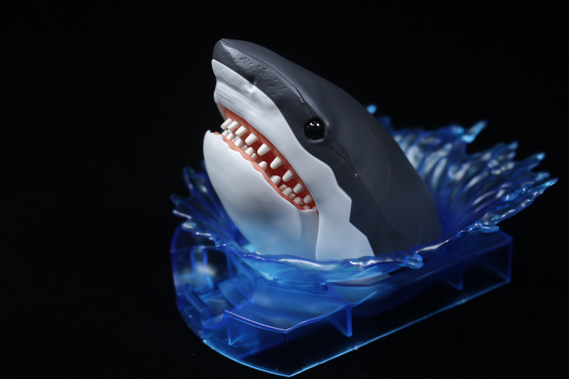 ボンボネロ x H&O サメフィンセット クリア 楽天市場】シュノーケル