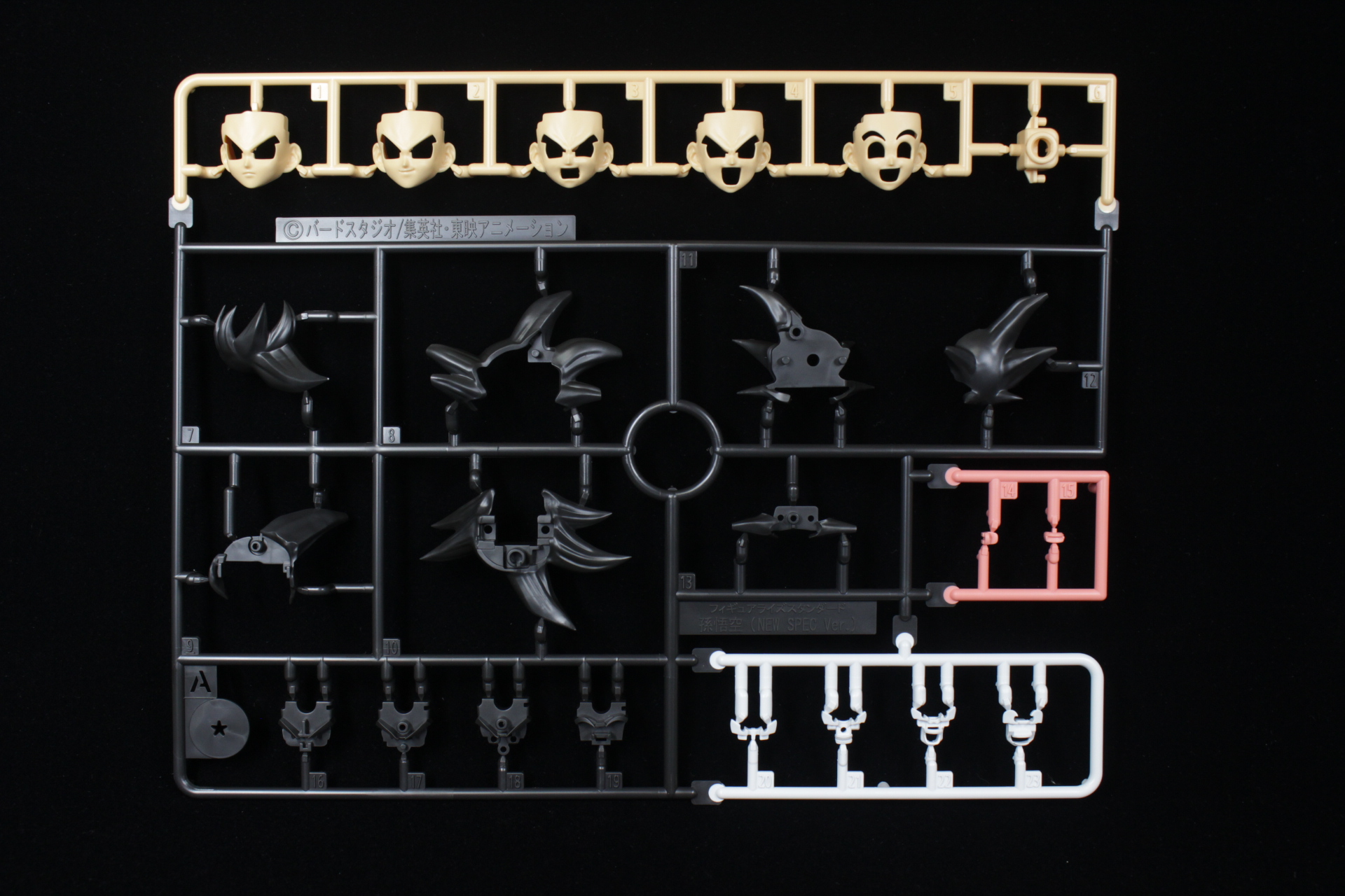 Figure-rise Standard 孫悟空 (NEW SPEC Ver.)サンプルの