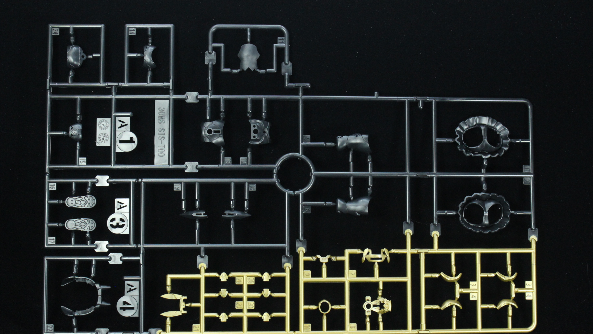 30MS SIS-Tc20g ツキルナ=ディアース(イノセンテフォーム)ランナー紹介