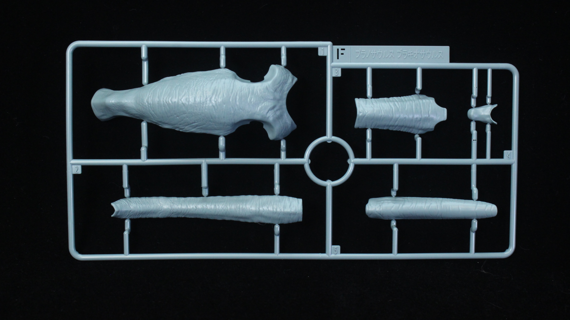 プラノサウルスシリーズ ブラキオサウルス ランナー紹介（素組画像あり