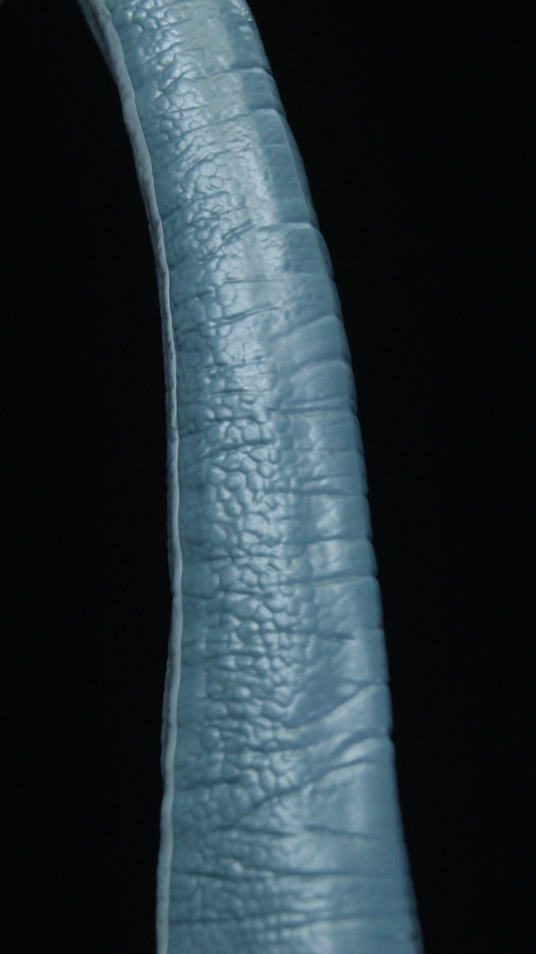 プラノサウルスシリーズ ブラキオサウルス ランナー紹介（素組画像あり